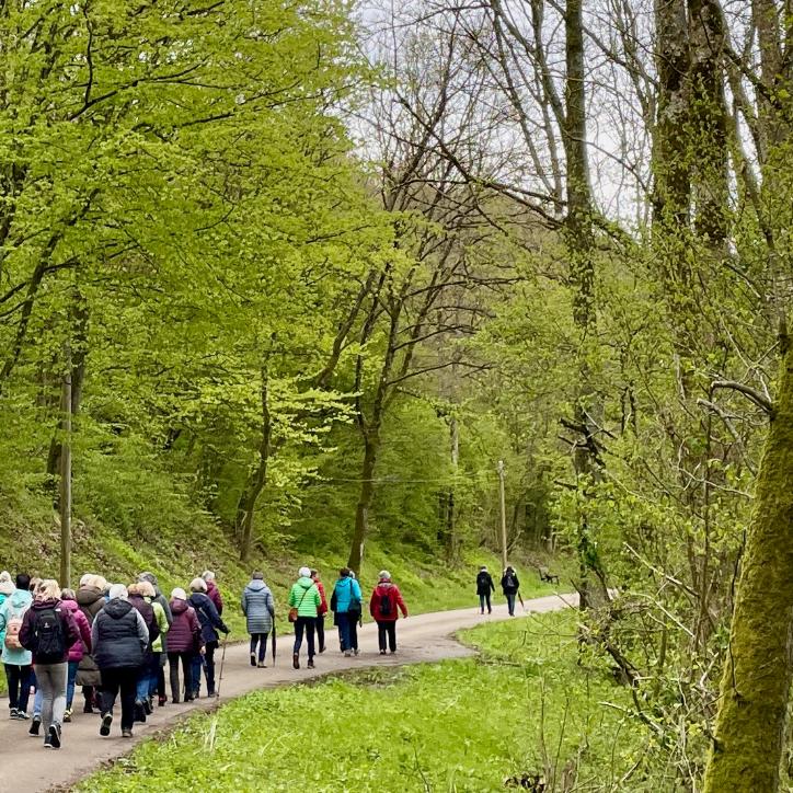 Menschen auf Meditativer Wanderung