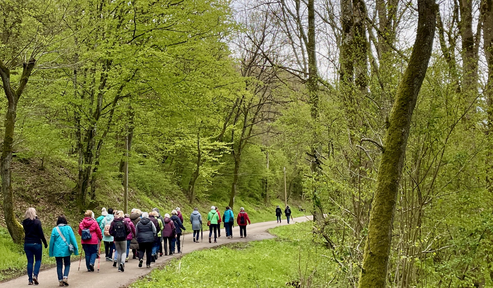 Menschen auf Meditativer Wanderung